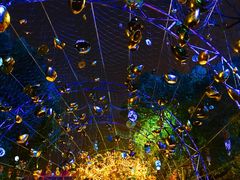 -锦江乐园舞狸花花游园会(夜场专享)