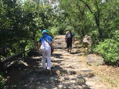 -阳台山自然风景区