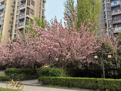 -木塔寺遗址生态公园