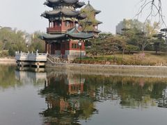 -迎泽公园