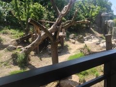 -宁波野生动物园