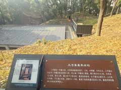 -马王堆汉墓遗址