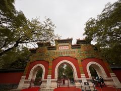 -国家植物园南园