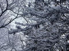 -庐山风景名胜区