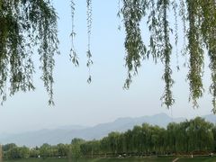 -洨河生态公园