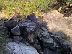 -广州白江湖森林公园