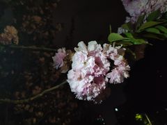 -西安理工大学(金花校区)