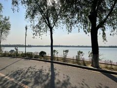-丁香湖公园