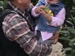 -东方剑桥幼儿园