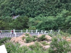 -石老人观光园