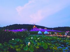 -大塘金香草谷