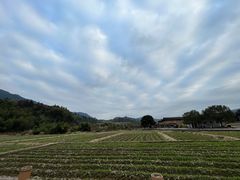 -云水谣景区