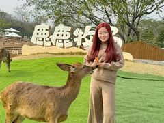 -盈香心动乐园