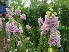 -武汉园博园(武汉自然博物馆)