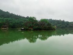 -广州白江湖森林公园