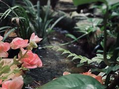 -The Flowers Coffee(南山店)
