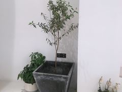 -CAKE WANG千层制造所(省府店)
