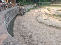 -上海野生动物园