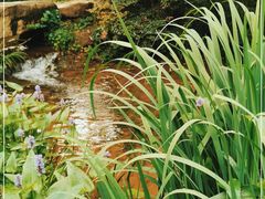 -中国茶叶博物馆(双峰馆区)