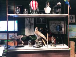 -奇幻丛林(佛罗伦萨小镇店)