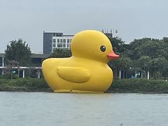 -深圳人才公园