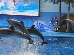 -成都浩海立方海洋公园