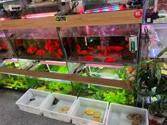 -溪岸路花鸟市场