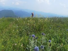 -白草畔自然风景区