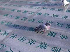 -龙口南山旅游景区