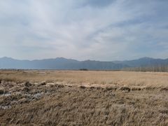 -野鸭湖国家湿地公园