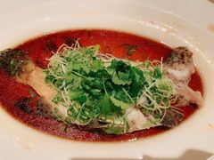 老鼠斑-香宫(九龙香格里拉店)