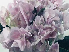 -沪依小酒馆心意菜