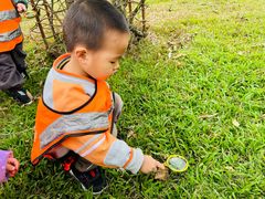 -金点蒙氏国际教育(悠然校区)