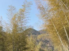 -鹿亭中村