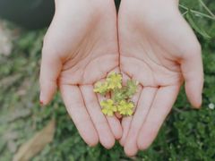 -成都中医药大学(温江校区)