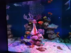 -上海海昌海洋公园
