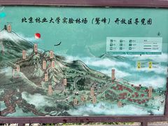 -北京鹫峰国家森林公园