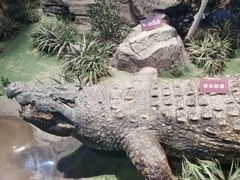 -陕西自然博物馆