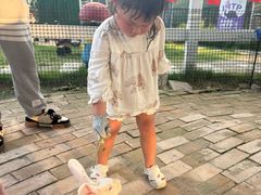 -菊园百果园