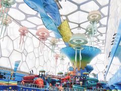 -水立方嬉水乐园