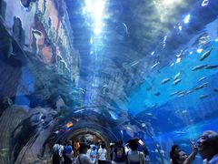 -华夏文旅海洋公园