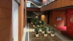 -上海交通大学医学院附属上海儿童医学中心(陆家嘴总院区)