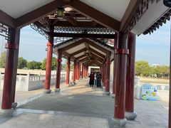 -长洲岛