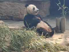 -石家庄市动物园