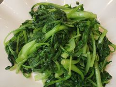 -阿英煲(凉城路店)