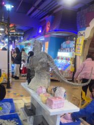 -卡通尼乐园(上海安亭店)