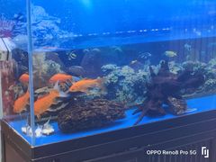 -欢聚烤吧(朱辛庄TBD万科店)