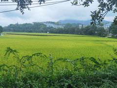 -韶山毛泽东同志故居