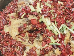 -老板恋上鱼(恒隆广场店)