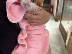 -FAELING PETS美天灵宠物(富力广场店)